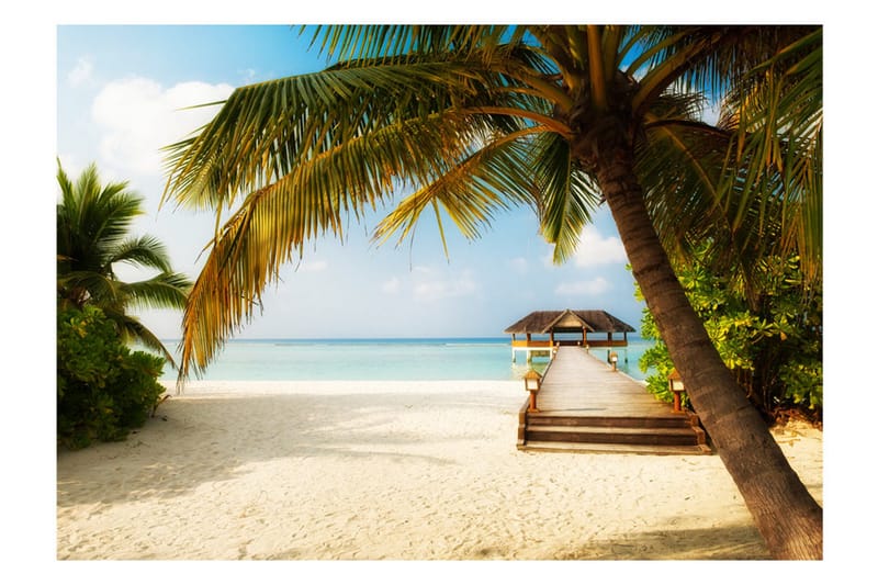 Fototapet Paradise Beach 250x175 - Artgeist sp. z o. o. - Inredning & dekor - Väggdekor - Tapeter & tapettillbehör - Fototapeter