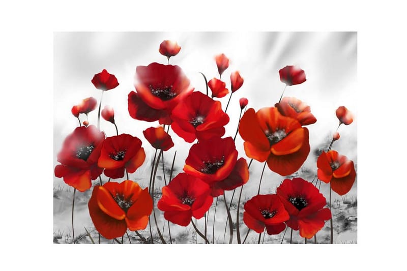 Fototapet Poppies In The Moonlight 450x315 - Artgeist sp. z o. o. - Inredning & dekor - Väggdekor - Tapeter & tapettillbehör - Fototapeter