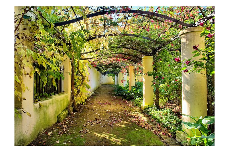 Fototapet Pergola 150x105, Artgeist sp. z o. o.