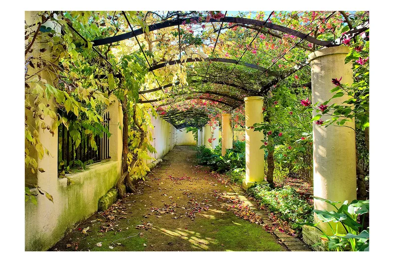 Fototapet Pergola 300x210, Artgeist sp. z o. o.