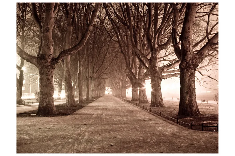 FOTOTAPET Park Gränd 200x154, Artgeist sp. z o. o.