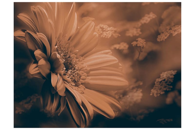 Fototapet Gerbera Brons 400x309 - Artgeist sp. z o. o. - Inredning & dekor - Väggdekor - Tapeter & tapettillbehör - Fototapeter