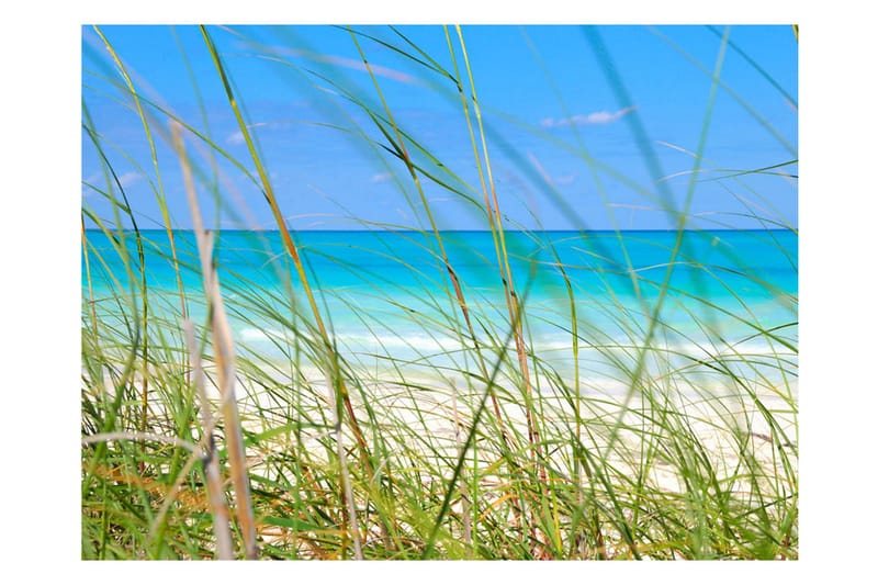 Fototapet Tropical Journey 400x309 - Artgeist sp. z o. o. - Inredning & dekor - Väggdekor - Tapeter & tapettillbehör - Fototapeter