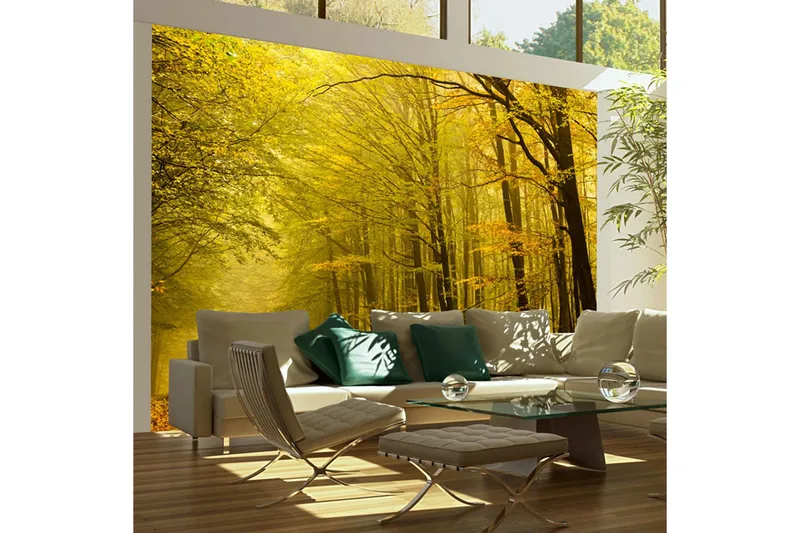 Fototapet Väg Höst Skogen 350x270 - Artgeist sp. z o. o. - Inredning & dekor - Väggdekor - Tapeter & tapettillbehör - Fototapeter
