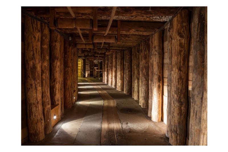 Fototapet Wooden Passage 400x309 - Artgeist sp. z o. o. - Inredning & dekor - Väggdekor - Tapeter & tapettillbehör - Fototapeter