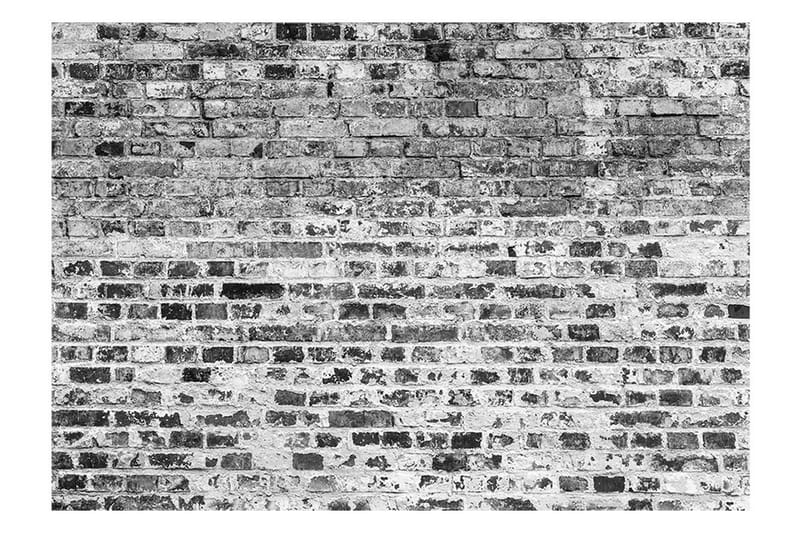 FOTOTAPET Border Of Greynesses 300x210 - Artgeist sp. z o. o. - Inredning & dekor - Väggdekor - Tapeter & tapettillbehör - Tapetbård
