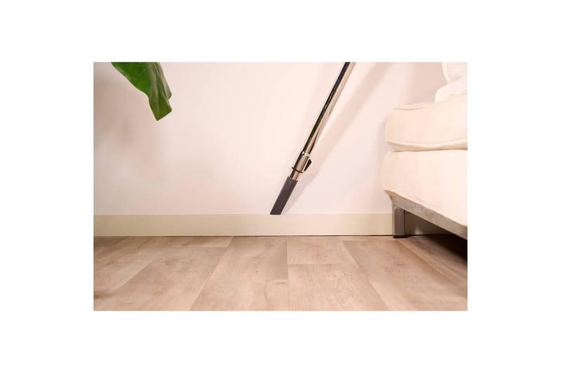 Dammsugare Solac More Brave Påslös 800W - Kök & hushåll - Städ & klädvård - Dammsugare - Golvdammsugare