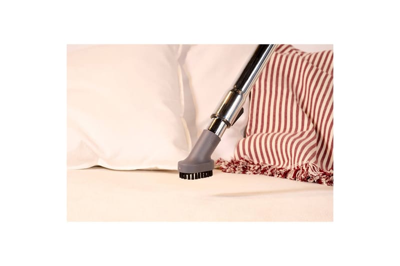 Dammsugare Solac More Brave Påslös 800W - Kök & hushåll - Städ & klädvård - Dammsugare - Golvdammsugare