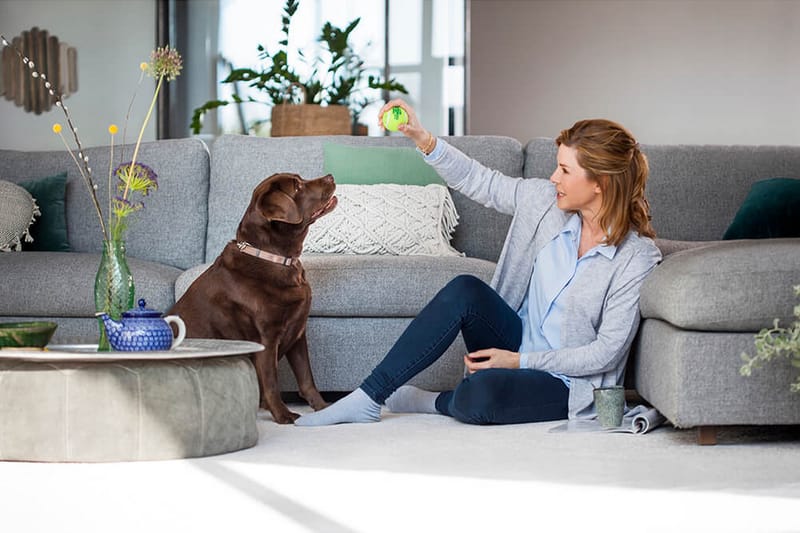 Mattvätt Bissell Revolution 2x ProHeat - Kök & hushåll - Städ & klädvård - Dammsugare - Mattvätt & textilvårdsmaskin