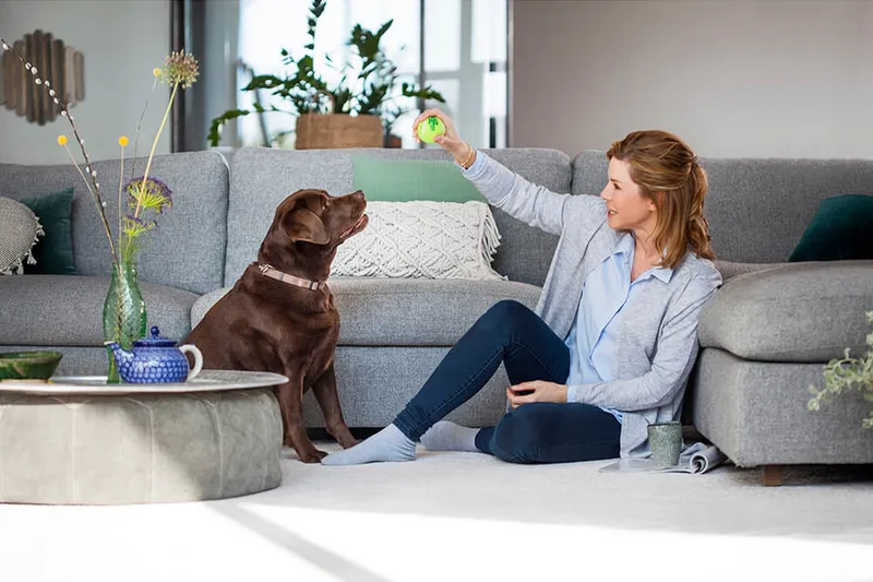 Mattvätt Bissell Revolution 2x ProHeat - Kök & hushåll - Städ & klädvård - Dammsugare - Mattvätt & textilvårdsmaskin