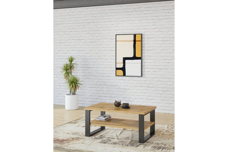 Malissa 110 cm Rektangulärt Soffbord med Förvaring i Mörkt Trä - Brun - Möbler - Bord