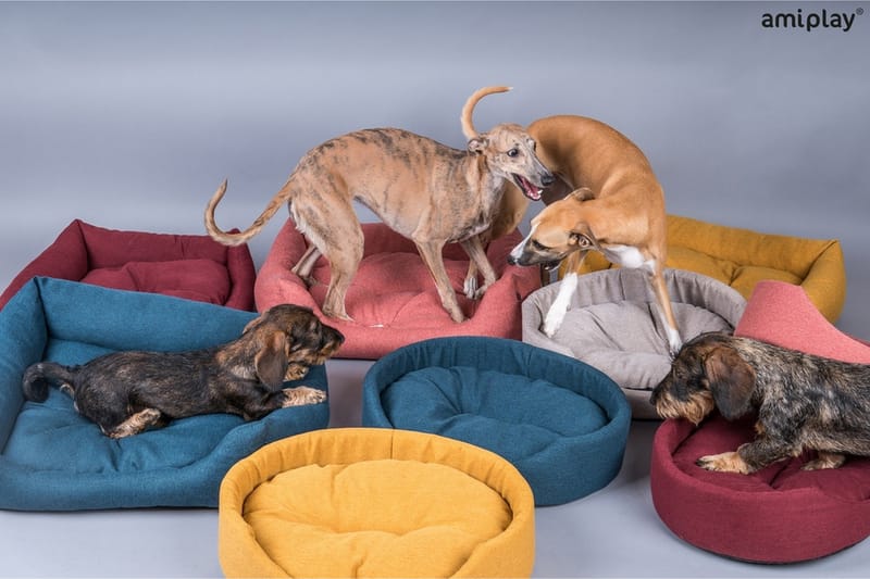 MONTANA Hundkudde 78x65x10cm Gul - Amiplay - Hundbädd & hundsäng