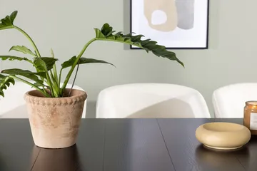 Astrid Matbord 90 cm med 6 Day Matstol - Möbler - Matplats - Matgrupp & matbord med stolar