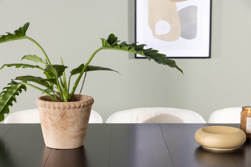 Astrid Matgrupp 200 cm Rektangulär med 6 Edina Stolar - Svart - Möbler - Matplats - Matgrupp & matbord med stolar