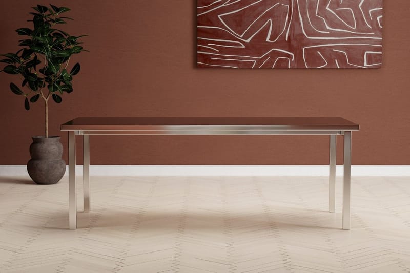 Cilo Stort Rektangulärt Matbord 210 cm i Trä och Metall, Silver