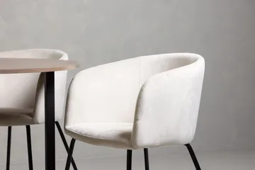 Durango Matbord 120 cm Rund med 4 Berit Karmstol Sammet med Armstöd - Möbler - Matplats - Matgrupp & matbord med stolar