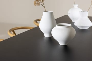 Ellis Matbord 230x85 cm med 6 Alfons Karmstol - Möbler - Matplats - Matgrupp & matbord med stolar