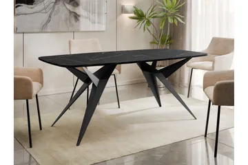 Elvora Matbord 160 cm Rektangulär - Svart - Möbler - Matplats - Matbord & köksbord