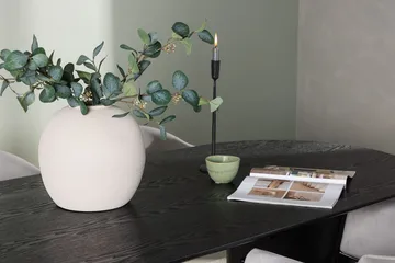 Isolde Matbord 180x90 cm med 4 Evelina Karmstol - Möbler - Matplats - Matgrupp & matbord med stolar