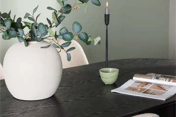 Isolde Matgrupp 180 cm Oval med 4 Polar stolar - Beige - Möbler - Matplats - Matgrupp & matbord med stolar