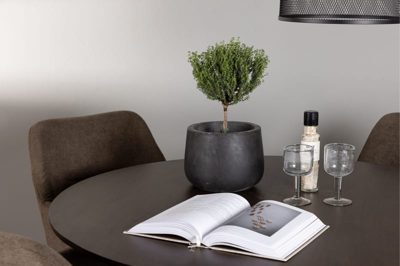 Kaseidon Matgrupp 100 cm Rund med 4 Tomorrow stolar - Brun - Möbler - Matplats - Matgrupp & matbord med stolar