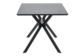 Tero Rektangulärt Matbord 160 cm i Metall och Trä med Mörkt Träutseende - Svart - Möbler - Matplats - Matbord & köksbord