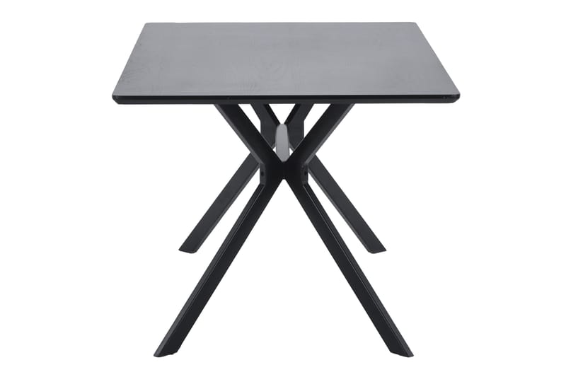 Tero Rektangulärt Matbord 160 cm i Metall och Trä med Mörkt Träutseende - Svart - Möbler - Matplats - Matbord & köksbord