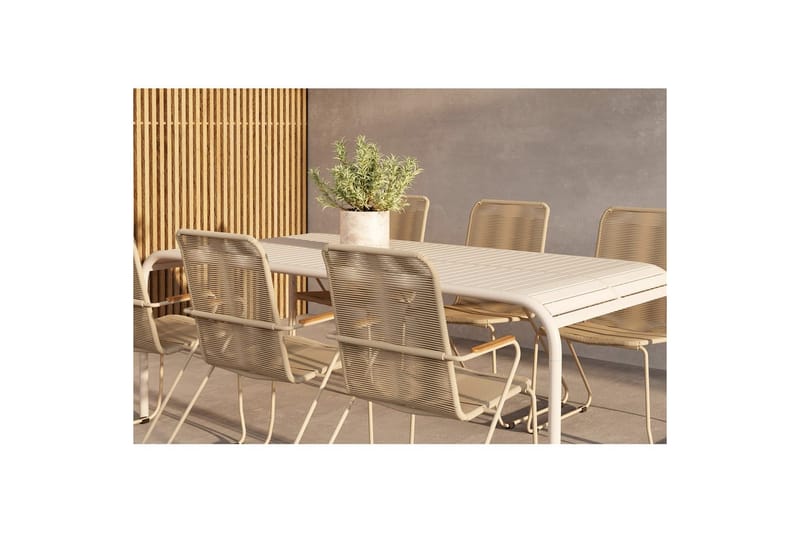 Matgrupp Borneo, Bois - Beige, Beige, 6 - Möbler - Matplats - Matgrupp & matbord med stolar
