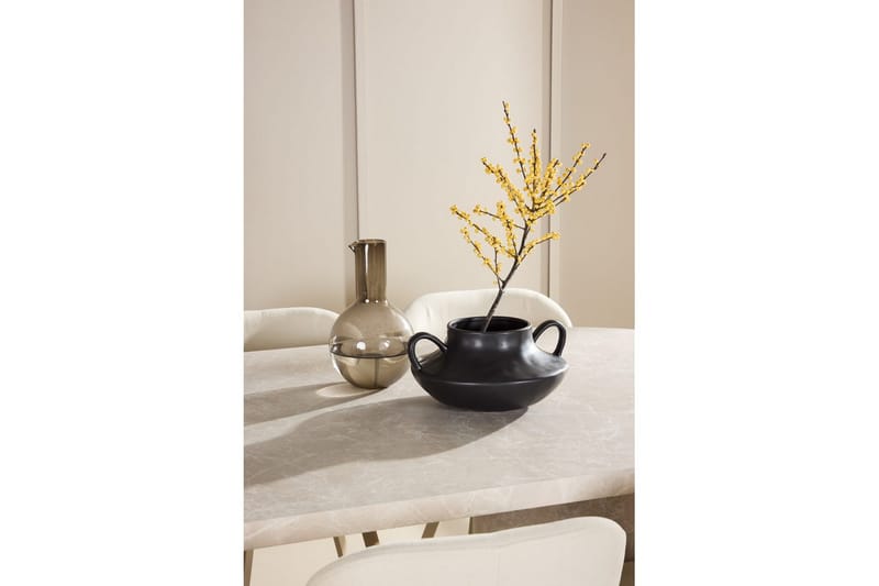 Matgrupp Narvik 100x200 cm Beige med 6st Lilja Stolar - Möbler - Matplats - Matgrupp & matbord med stolar