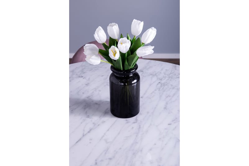 Admira Matgrupp med 4 Valeri Matstolar - Möbler - Matplats - Matgrupp & matbord med stolar