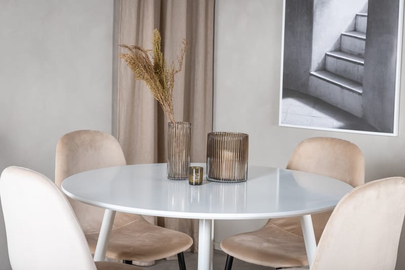 Ridones Matgrupp 100 cm Rund inkl 4 Pontus Stolar - Vit/Svart/Beige - Möbler - Matplats - Matgrupp & matbord med stolar