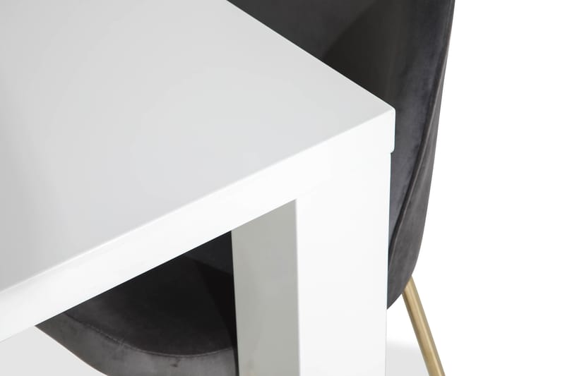 SALA Bord + 6 SANDRO Stol Grå/Mässingsben - Matgrupp & matbord med stolar