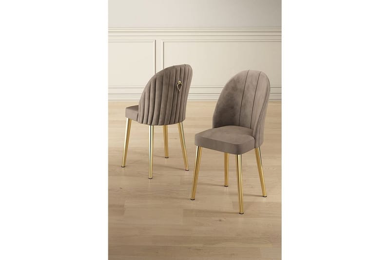 Matstol Orlen Cappuccino / guld - Cappuccino / guld - Möbler - Matplats - Matstol & köksstol