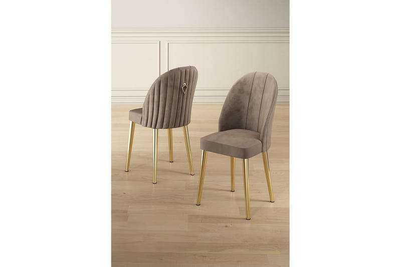 Matstol Orlen Cappuccino / guld - Cappuccino / guld - Möbler - Matplats - Matstol & köksstol