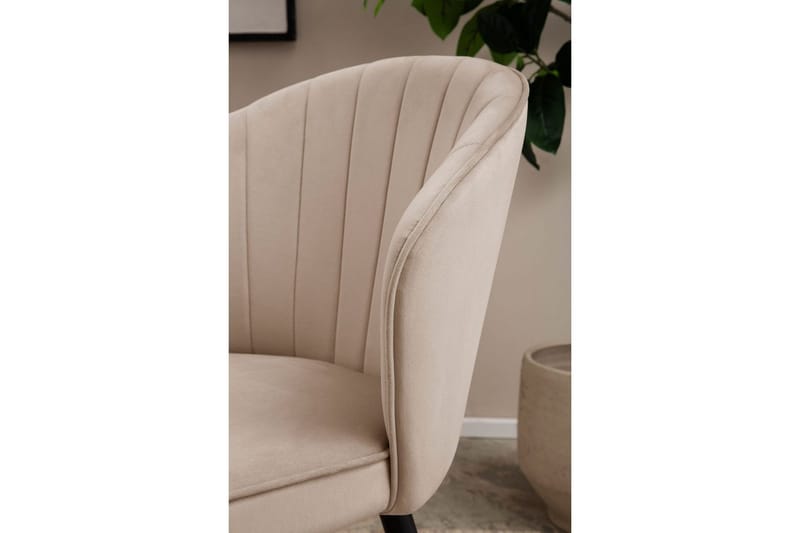 Matstol Wohnling sammet klädd med metallben, modern loftstil Beige - Beige - Möbler - Matplats - Matstol & köksstol