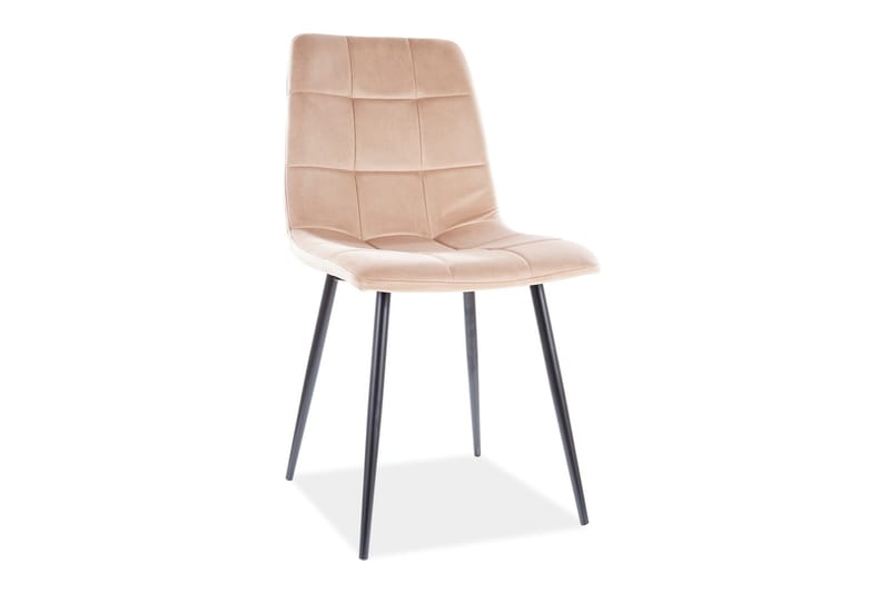 Axarnes Matstol, Sammet/Beige/Svart