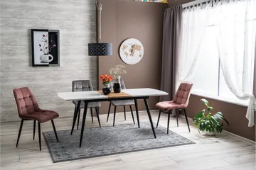Begin Matstol - Sammet/Grå - Möbler - Matplats - Matstol & köksstol