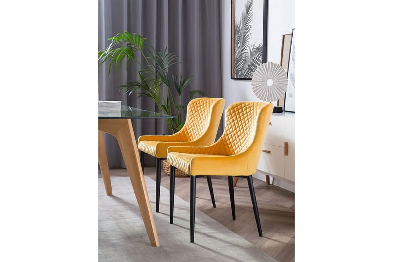 Colino Stol 2-Pack Sammet - Gul - Möbler - Matplats - Matstol & köksstol