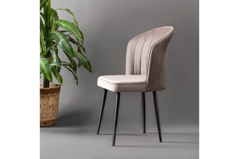 Rubi Matstol - Cappuccino - Möbler - Matplats - Matstol & köksstol