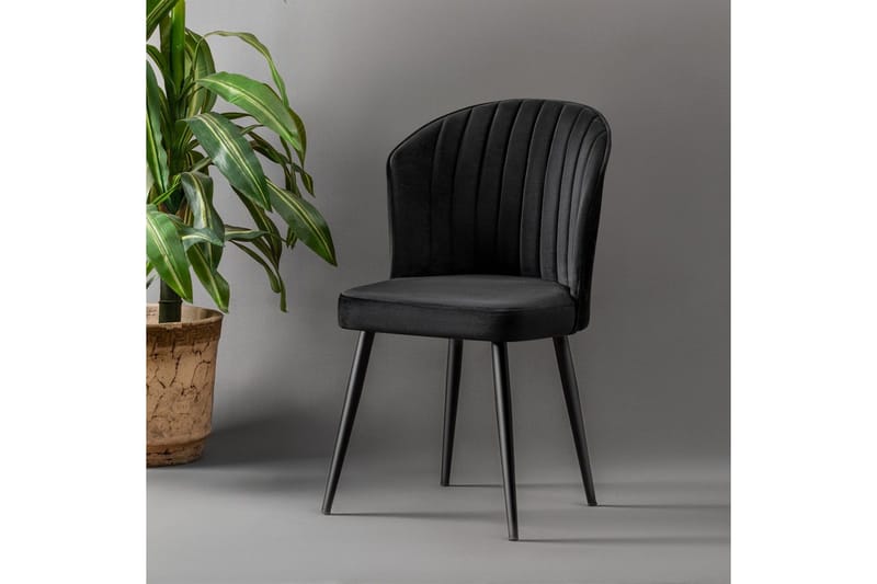 Rubi Matstol, Mörkgrå