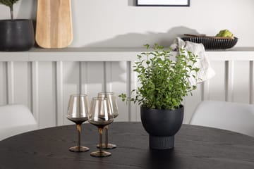 Olivia Matbord 110 cm Runt med 4 Night Matstol - Möbler - Matplats - Matgrupp & matbord med stolar