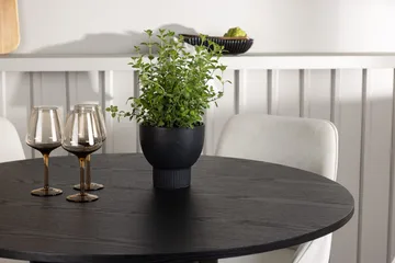 Svart - Beige, svart