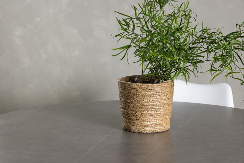Piazza Matgrupp  120 cm Rund Grå med 4 Zeno Stolar - Möbler - Matplats - Matgrupp & matbord med stolar