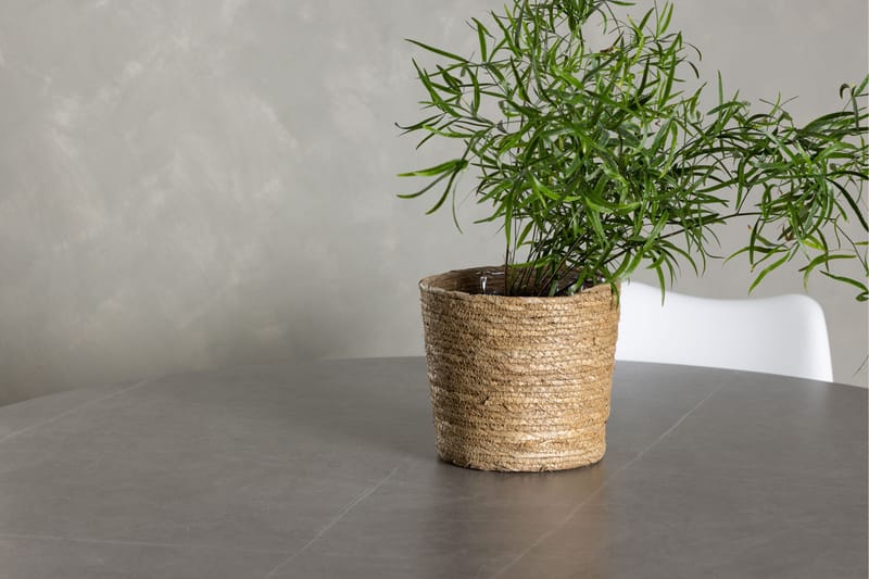 Piazza Matgrupp  120 cm Rund med 4 Zeno stolar - Grå - Möbler - Matplats - Matgrupp & matbord med stolar