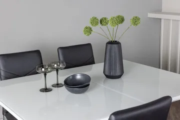 Pluto Matbord 120x90 cm med 4 Lily Matstol - Möbler - Matplats - Matgrupp & matbord med stolar