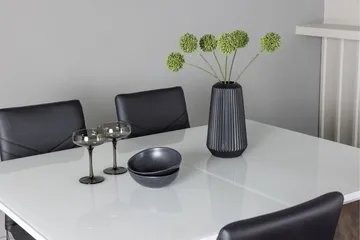 Pluto Matgrupp 120 cm Rektangulär med 4 Lily stolar - Svart - Möbler - Matplats - Matgrupp & matbord med stolar