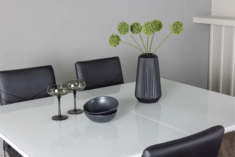 Pluto Matgrupp 120 cm Rektangulär med 4 Lily stolar - Svart - Möbler - Matplats - Matgrupp & matbord med stolar