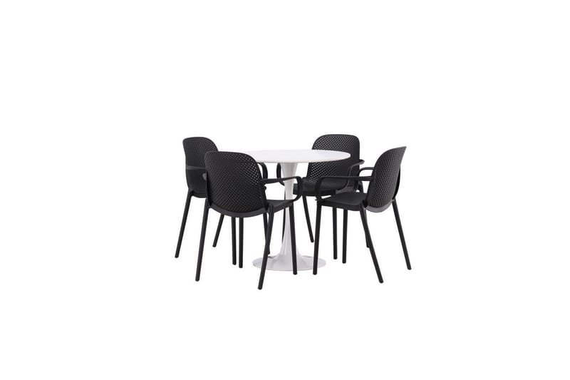 Rund Matgrupp Hamden, Baltimore