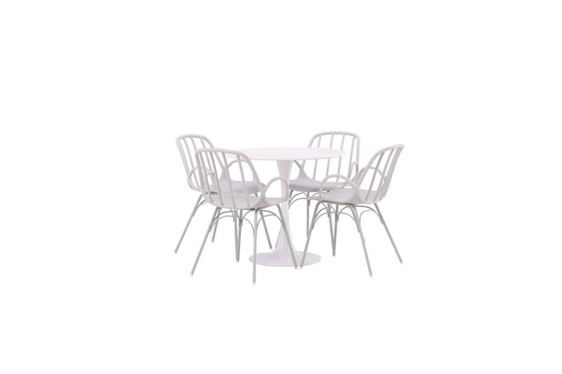 Rund Matgrupp Hamden, Dyrön, Vit