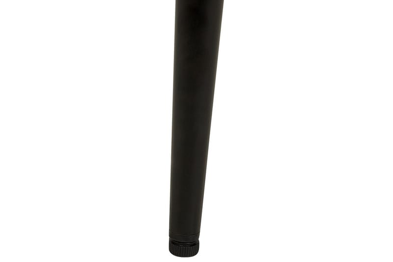 Set med 2 matstolar Avilla, Beige, svart